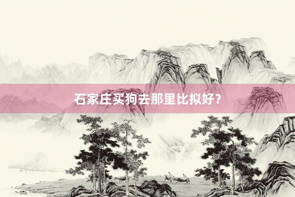 石家庄买狗去那里比拟好？